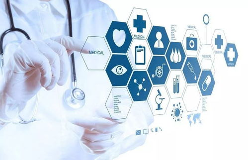 內蒙古互聯網政務服務革新取得階段性成果，構建高效便民互聯網信息服務體系