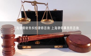 上海財(cái)務(wù)糾紛律師咨詢與專業(yè)律師事務(wù)所指南