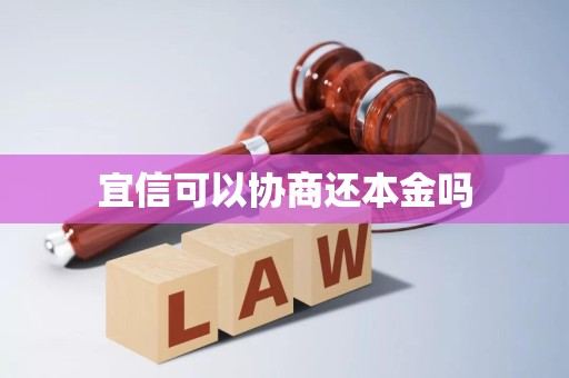 宜信貸款能否協(xié)商償還本金？—— 一份法律與實(shí)務(wù)角度的分析